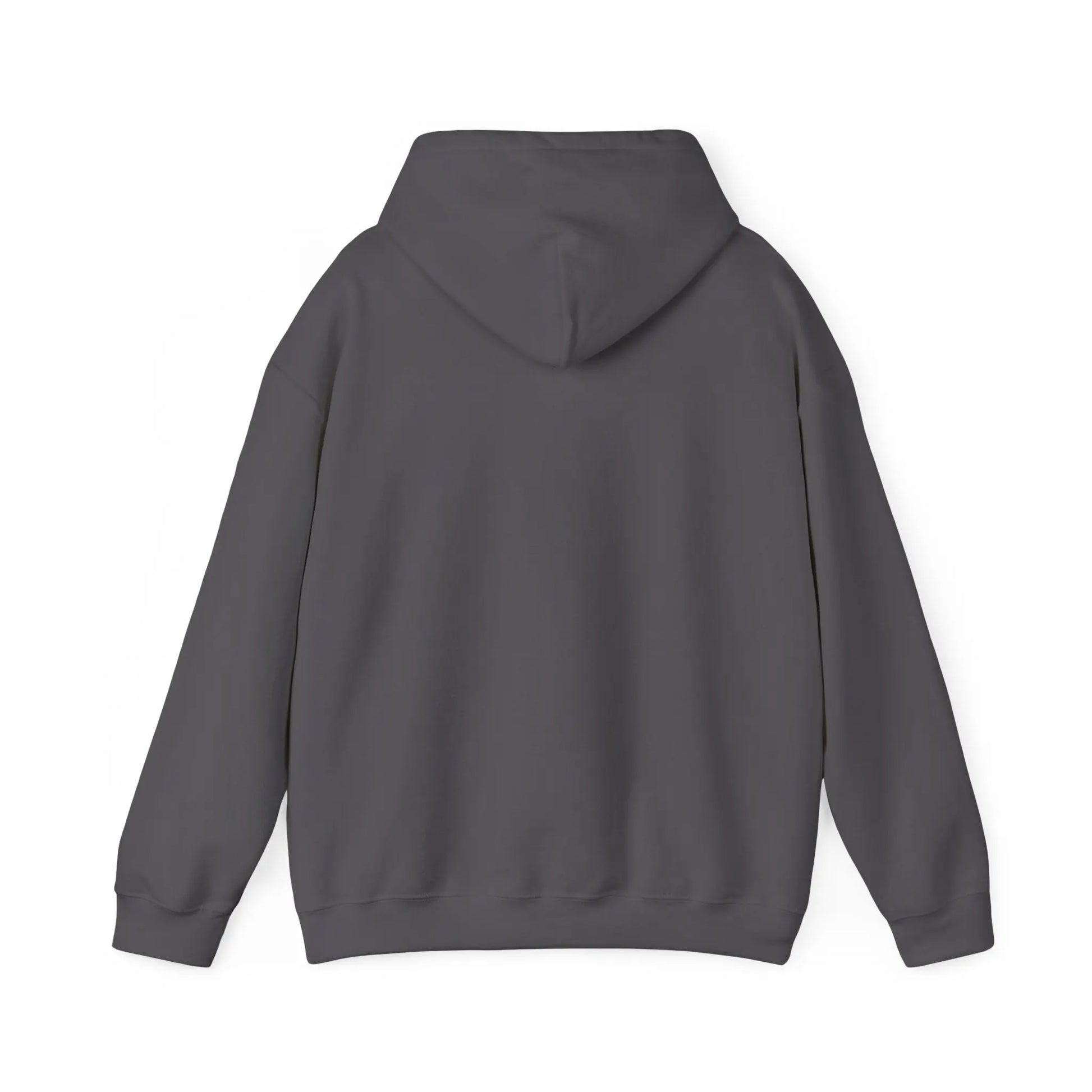 Hoodie — 'Viva Cristo Rey' Vintage Crusader Emblem Christian Pullover Printify